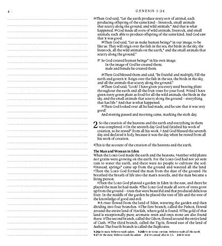 Tyndale NLT Inspire PRAISE Bible (LeatherLike, Purple Garden): Coloring Bible–Over 500 Illustrations to Color and Creative Journaling Bible Space, Religious Gifts That Inspire Connection with God
