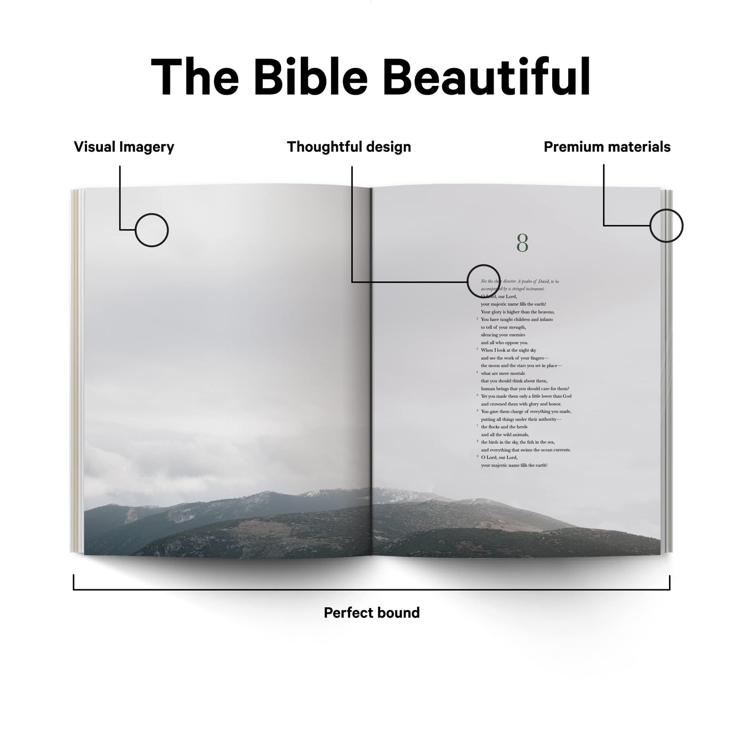 Book of Psalms - Alabaster Bible