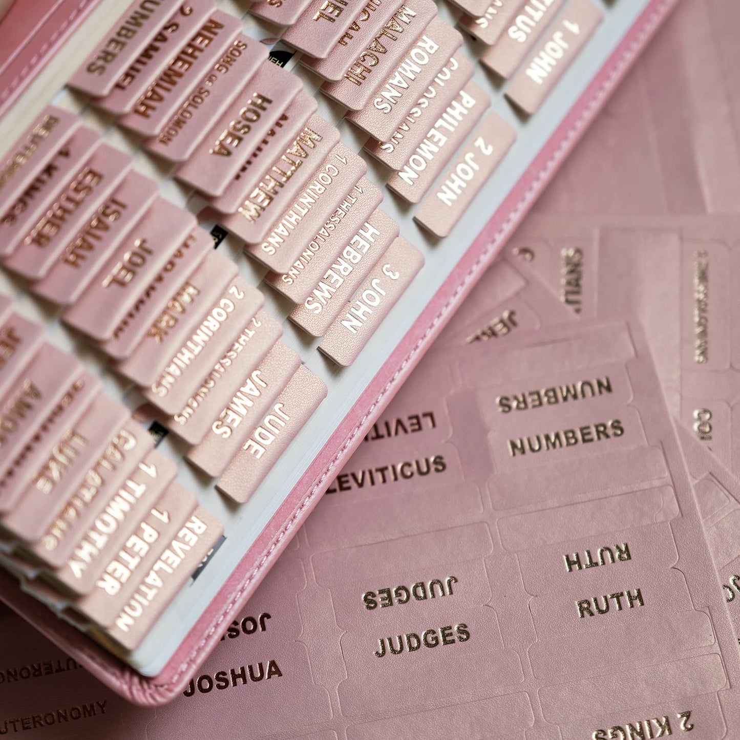 UPAFEXXI- Leather Bible tabs, Bible Tabs for Women and Men, Bible Tabs for Study Bible, 80 Bible Index Book Tabs in Total, 66 Bible Tabs for Old and New Testament, 14 Blank tabs (Rose Pink)