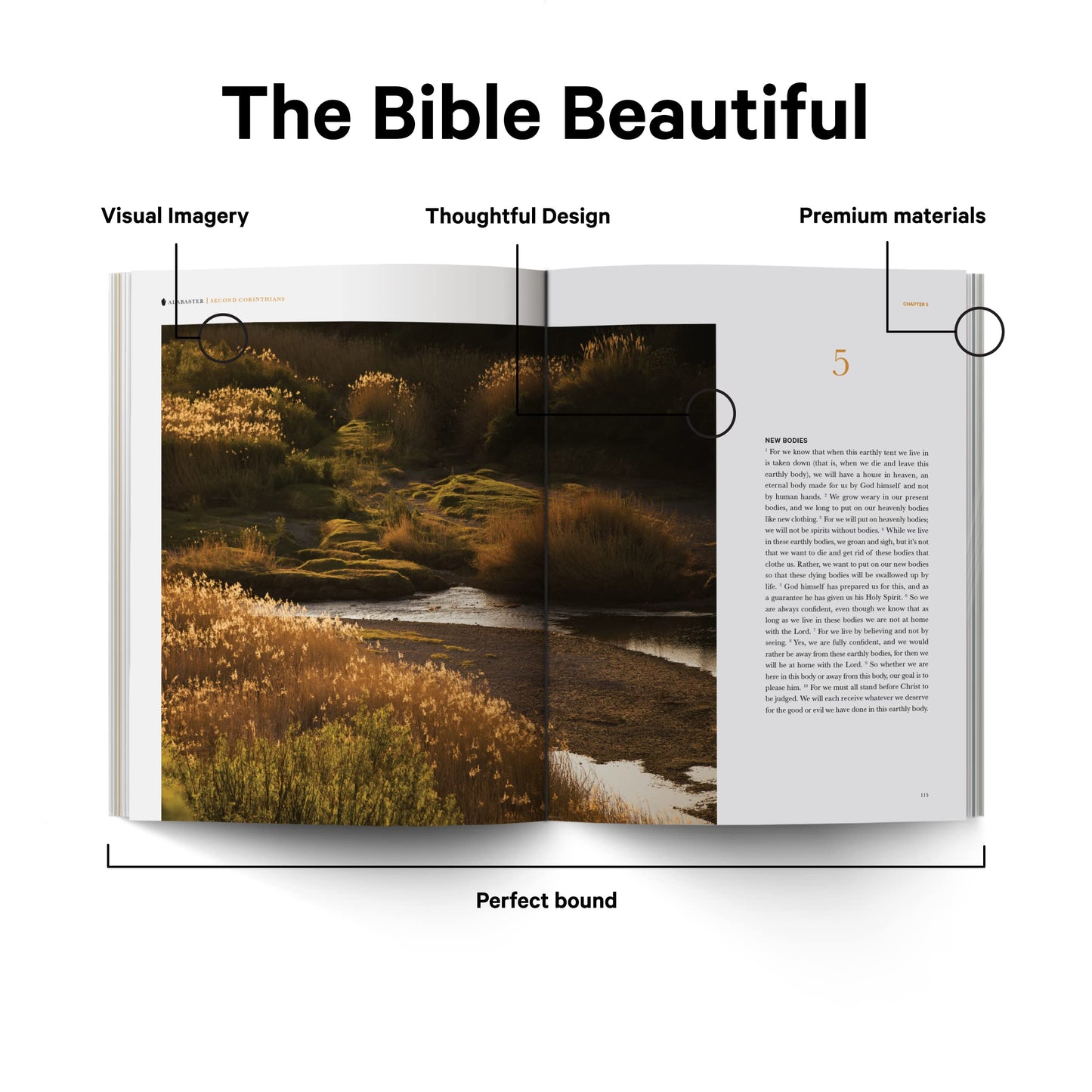 1 & 2 Corinthians - Alabaster Bible