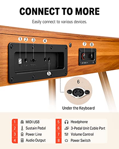 Donner DDP-80 Digital Piano 88 Key Weighted Keyboard, Full-size Electric Piano for Beginners, with Sheet Music Stand, Triple Pedal, Power Adapter, Supports USB-MIDI Connecting, Retro Wood Color