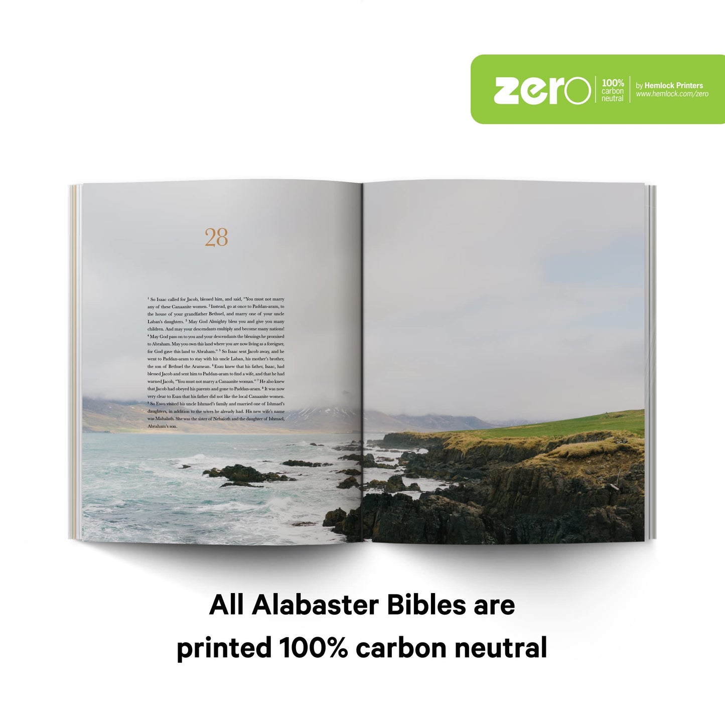 Book of Genesis - Alabaster Bible