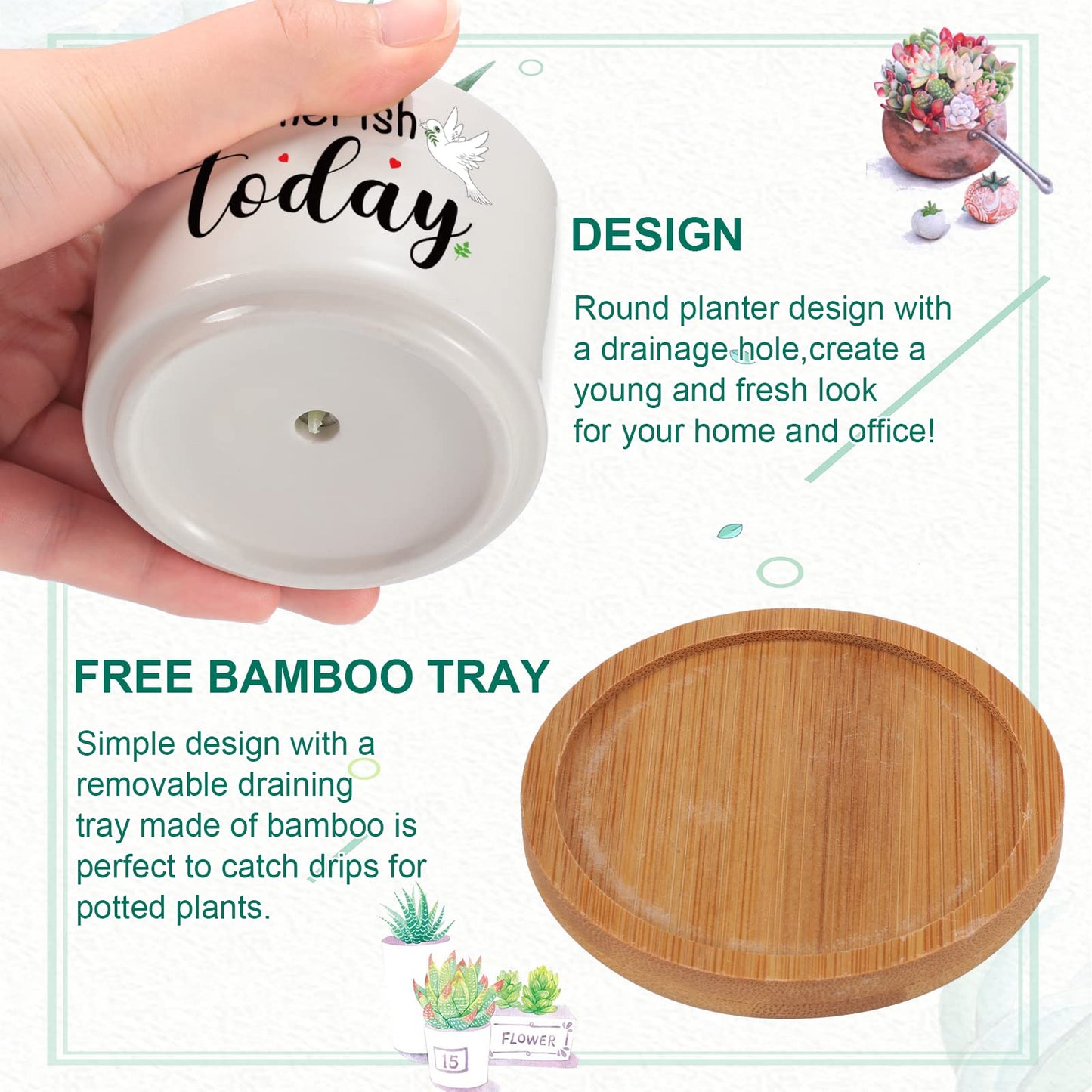 6 Pcs Christian Bible Verse Gifts Set Funny Succulent Plant Pot with Bamboo Tray Ceramic Funny Planter Succulent Accessories Cute Plants Pots for Women Teacher Coworker Birthday Gifts (Bible Style)