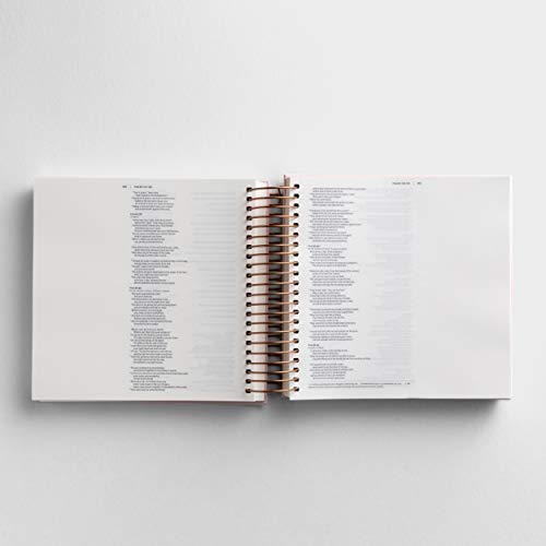 Illustrating Bible NIV - Spiral Bound Bible Journal, Pink