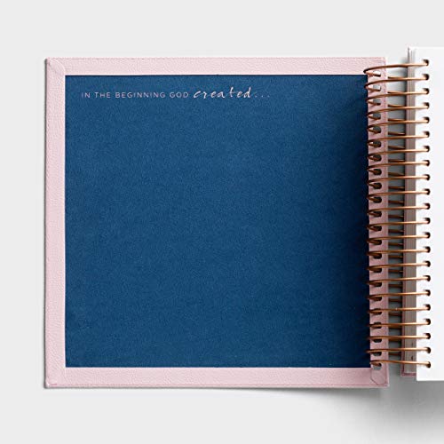 Illustrating Bible NIV Pink (Spriral Bound Journaling Bible) – CTracyLouie