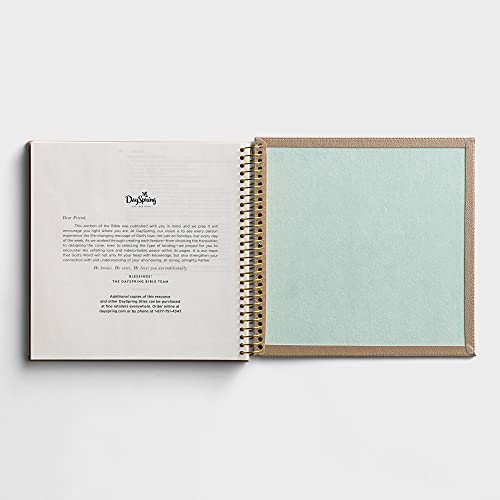 Illustrating Bible NIV: The Gospels - Spiral Bound Bible Journal