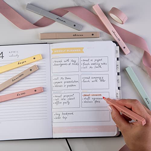 Hi-Lite Pastel Highlighters for Bible - Aesthetic Highlighters with Soft  Chiseled Tip - No Bleed Highlighter Pens for Planner, Notes, Books - Desk