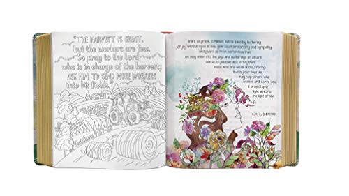 Inspire PRAYER Bible NLT (LeatherLike, Joyful Colors with Gold Foil Accents): The Bible for Coloring & Creative Journaling