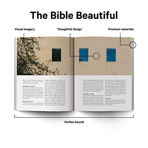 Book of Genesis - Alabaster Bible