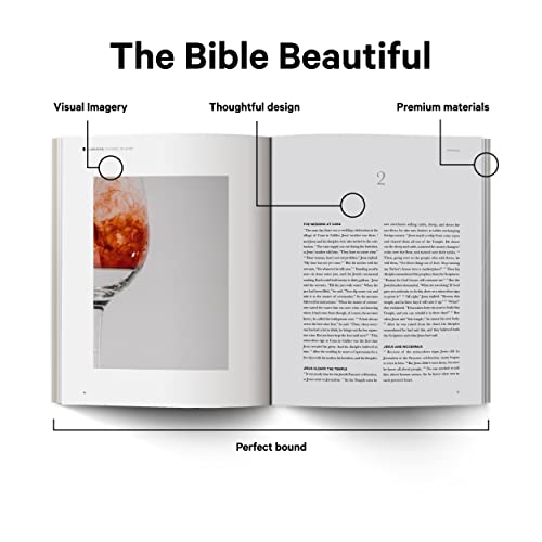 Gospel of John