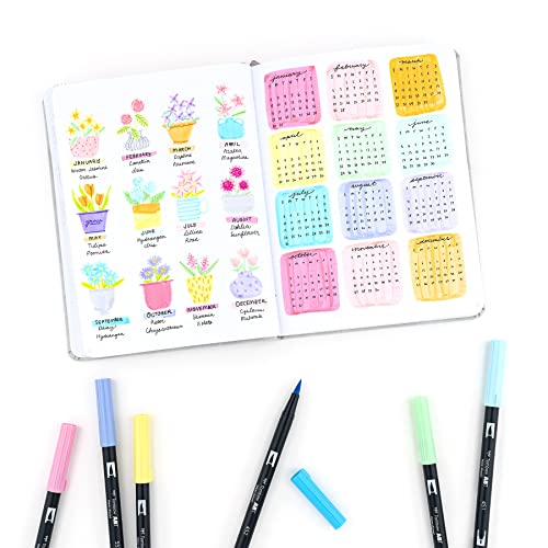 Tombow 56187 Dual Brush Pen Art Markers, Pastel, 10-Pack. Blendable, Brush and Fine Tip Markers