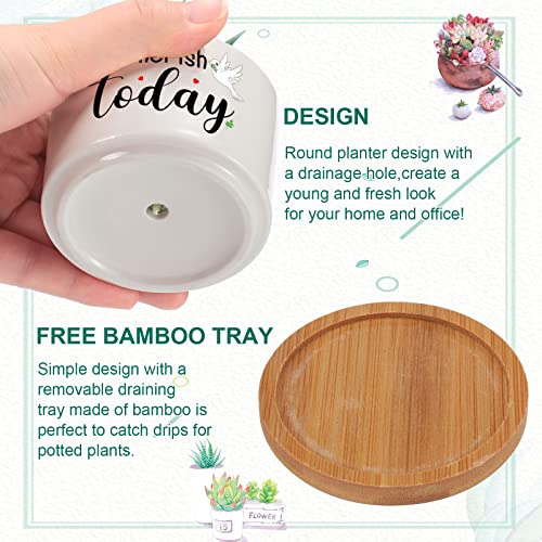 6 Pcs Christian Bible Verse Gifts Set Funny Succulent Plant Pot with Bamboo Tray Ceramic Funny Planter Succulent Accessories Cute Plants Pots for Women Teacher Coworker Birthday Gifts (Bible Style)