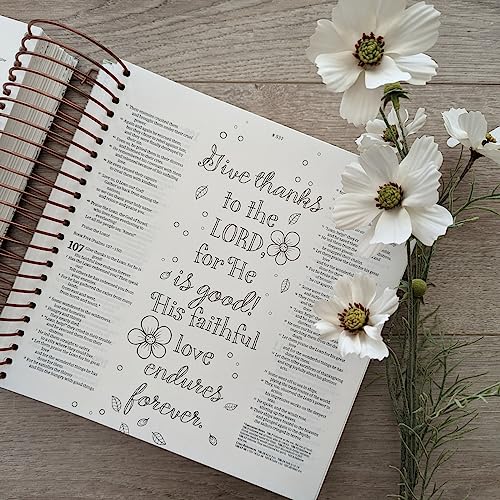 NLT DaySpring Inspire Illustrating Bible, Filament Enabled (Spiral Bound, Mint Floral Garden)