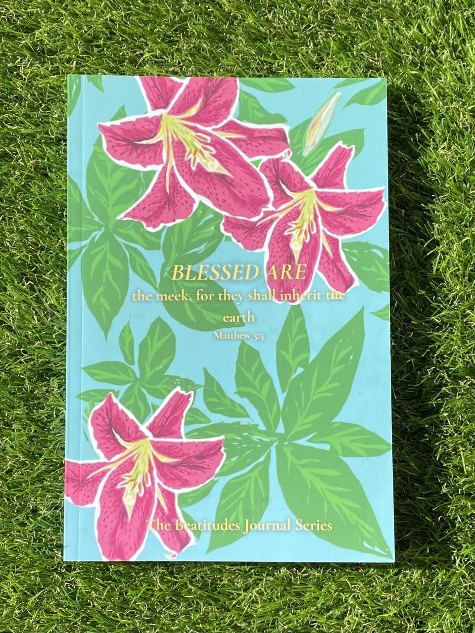 Blessed Are the Meek: The Beatitudes Journal Series
