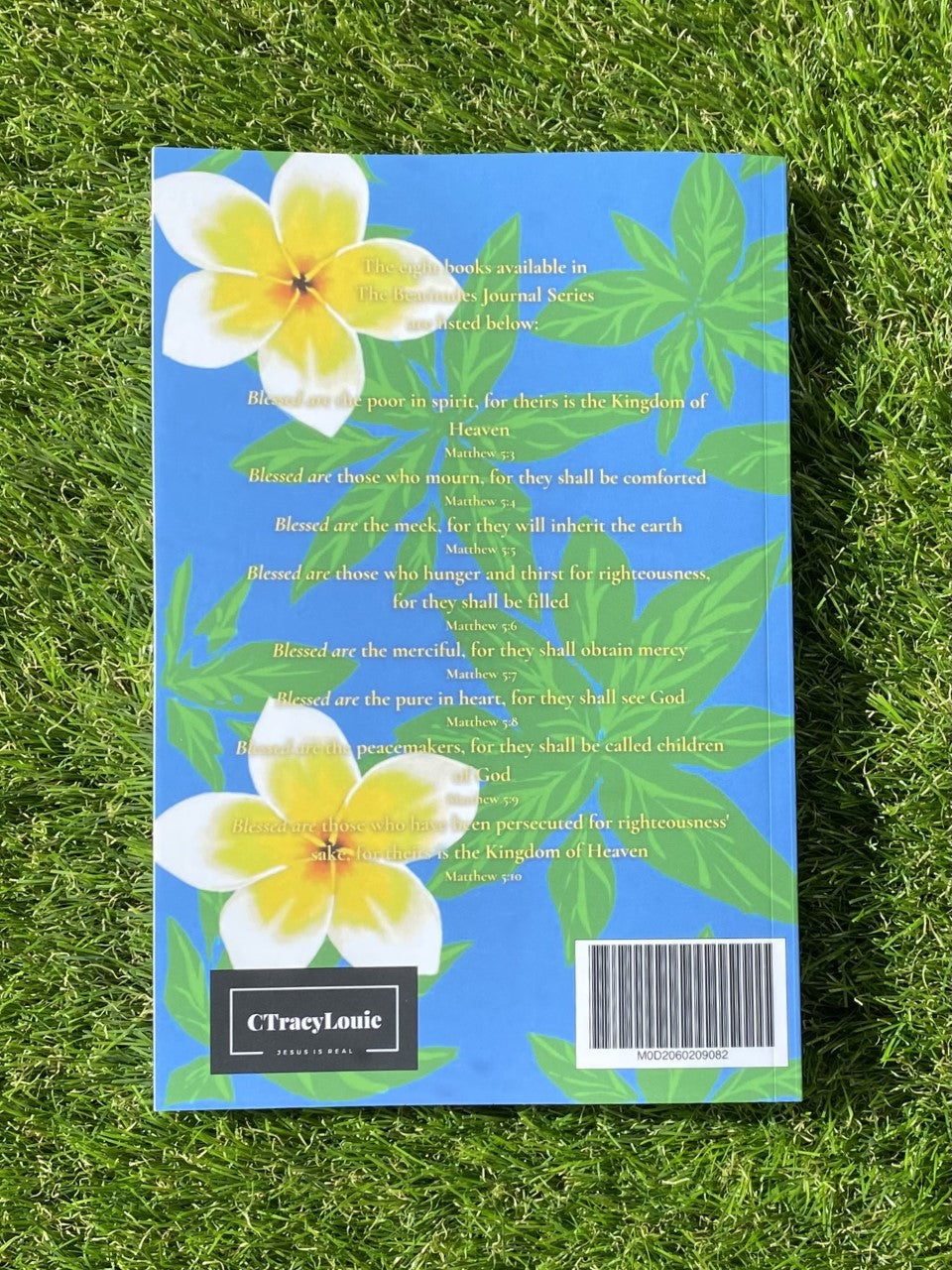 Blessed Are The Pure In Heart: The Beatitudes Journal Series