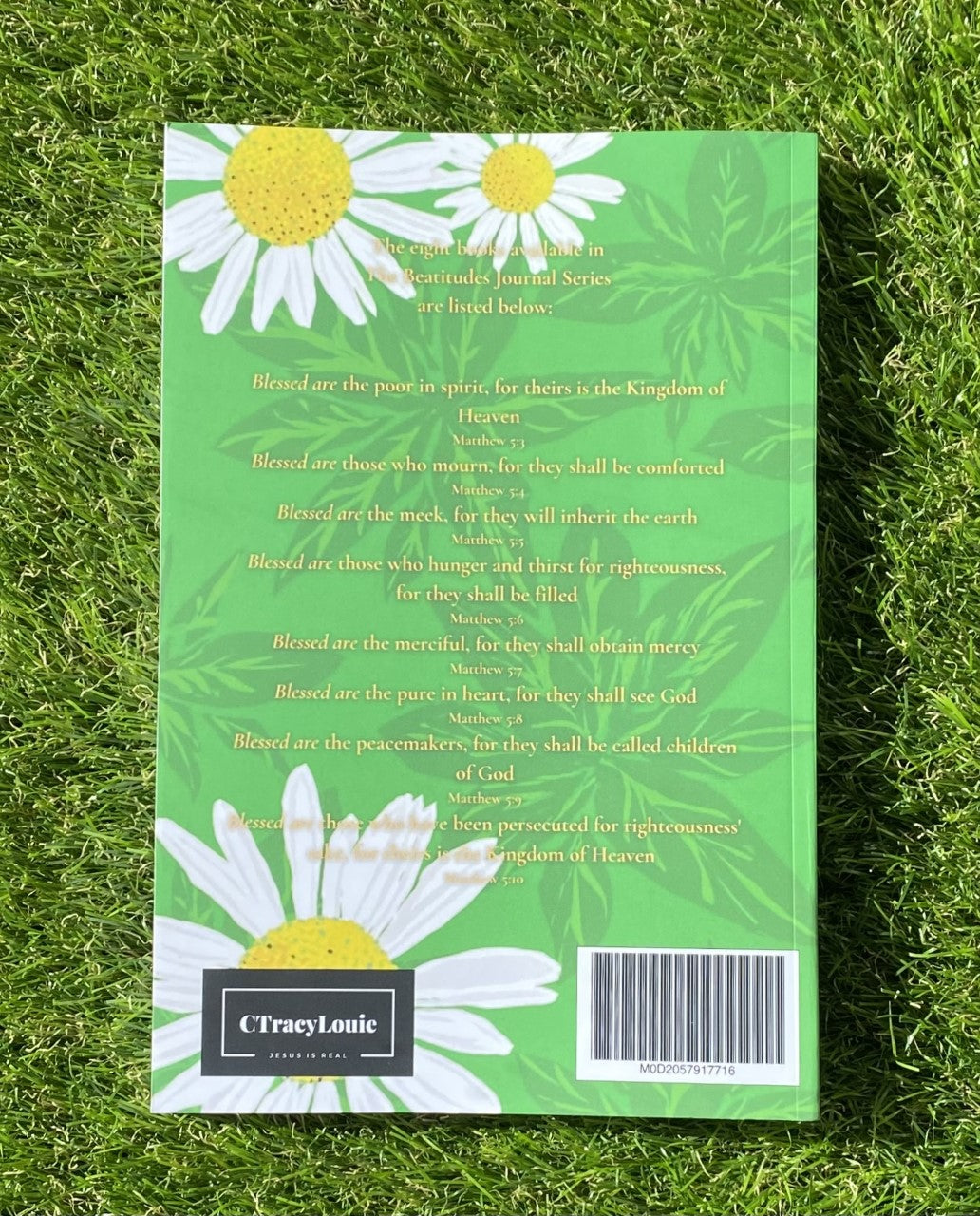 Blessed Are Those Who Mourn: The Beatitudes Journal Series