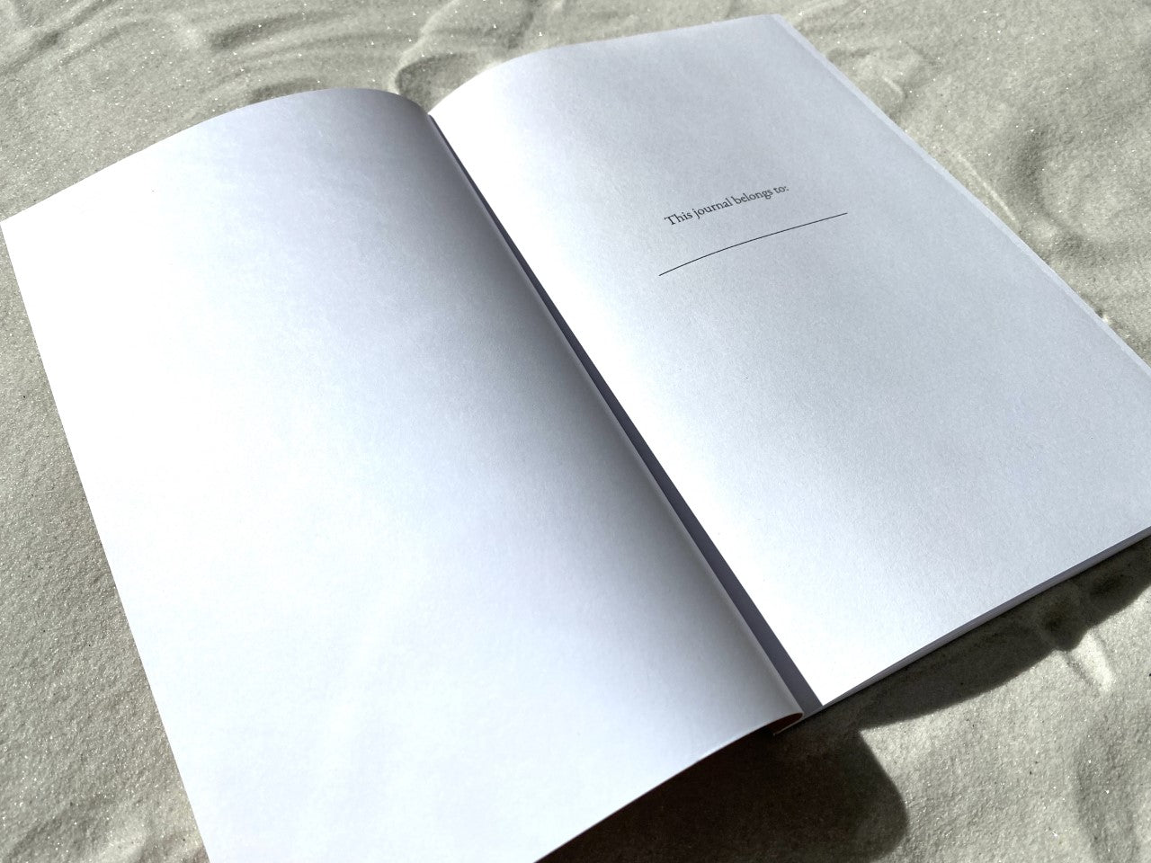 Joy: The Fruit of the Spirit Journal Series